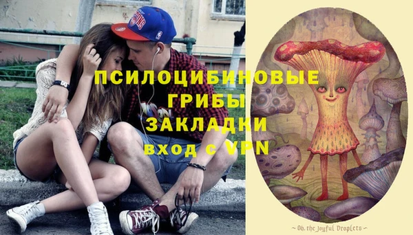 твердый Фёдоровский